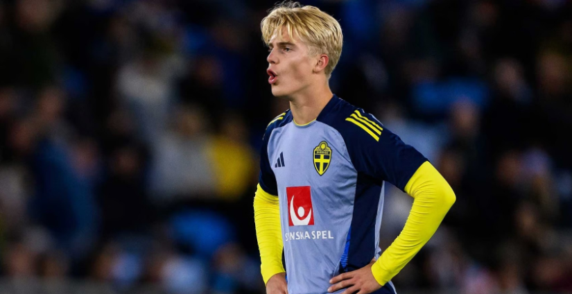 选择我们的五大优势